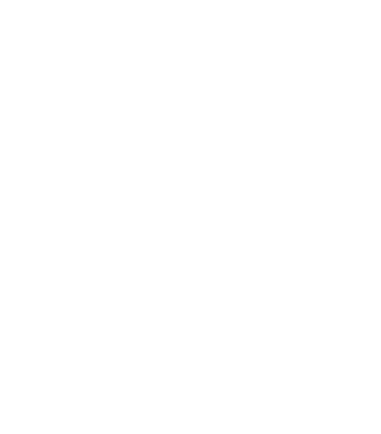Shield Audit
